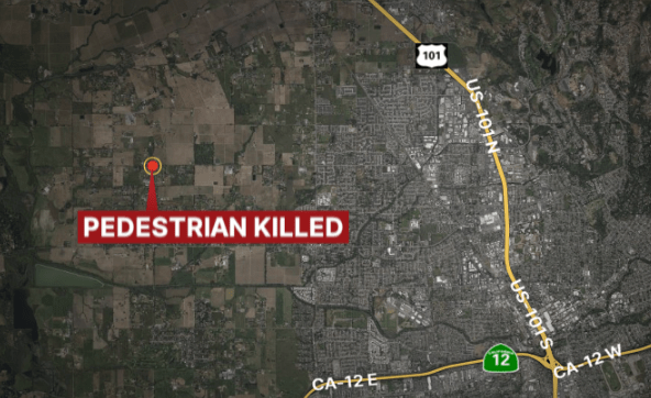Pedestrian hit and killed in Santa Rosa area