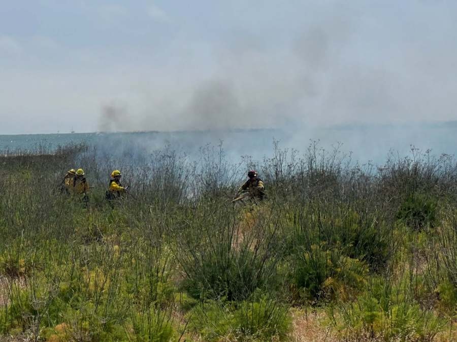 Foster City crews responded to brush fire, roads closed