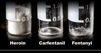 Elephant tranquilizer carfentanil caused Santa Clara County man's death