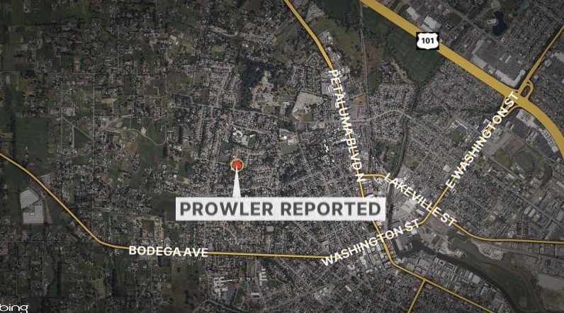 Police seek prowler found hiding under bed in Petaluma home