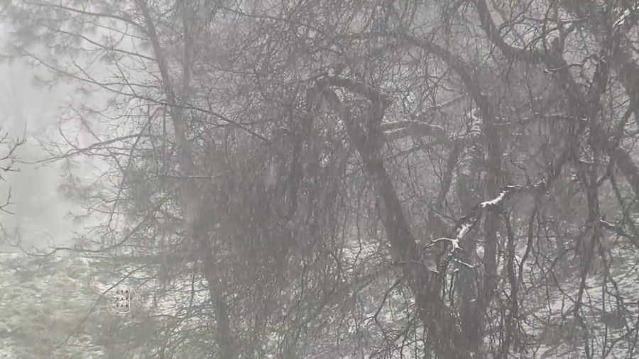 Snow on top of Mt. Hamilton leads to road closures: video