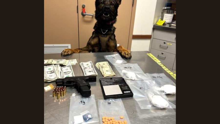 K-9 assists in Livermore drug bust: PD