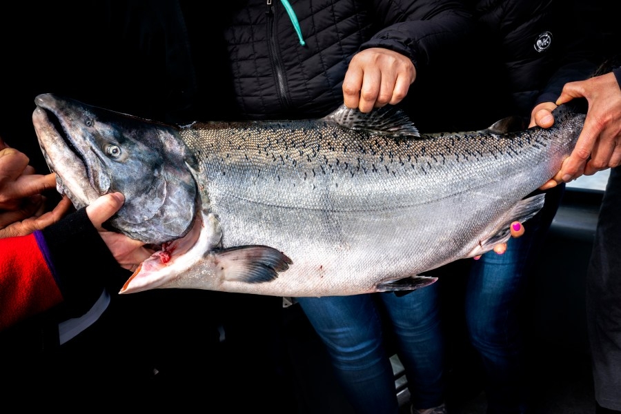 Surge of salmon-craving anglers expected across CA coast over weekend