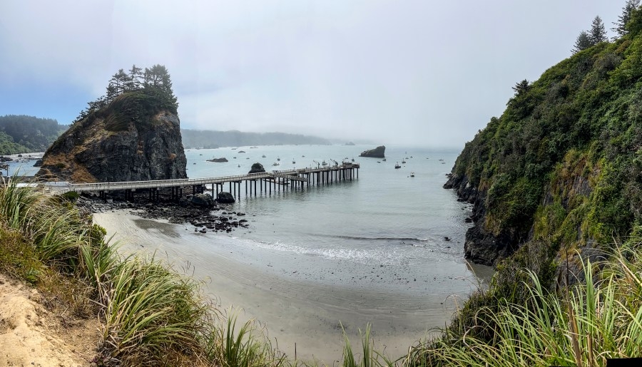 Mysterious human skull found on NorCal beach identified