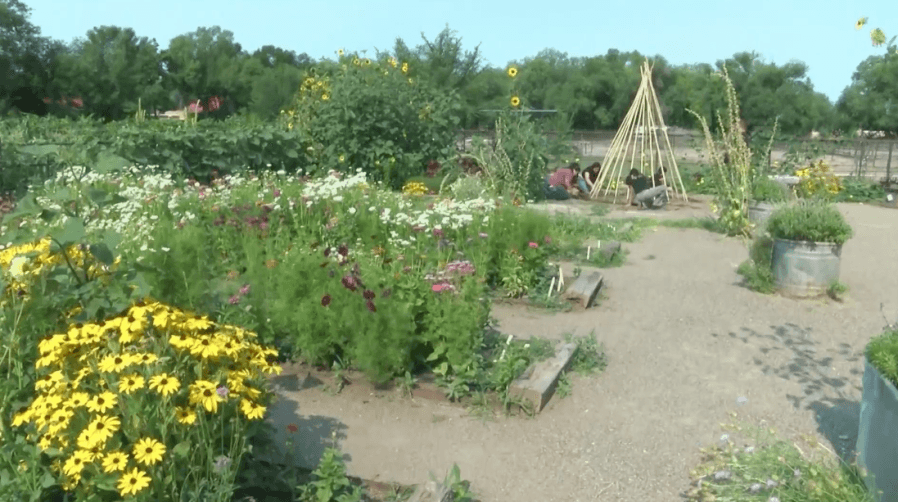 Funding for farming internship program at APS in jeopardy