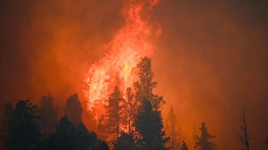 Wildfire prevention bills make their way through the Roundhouse