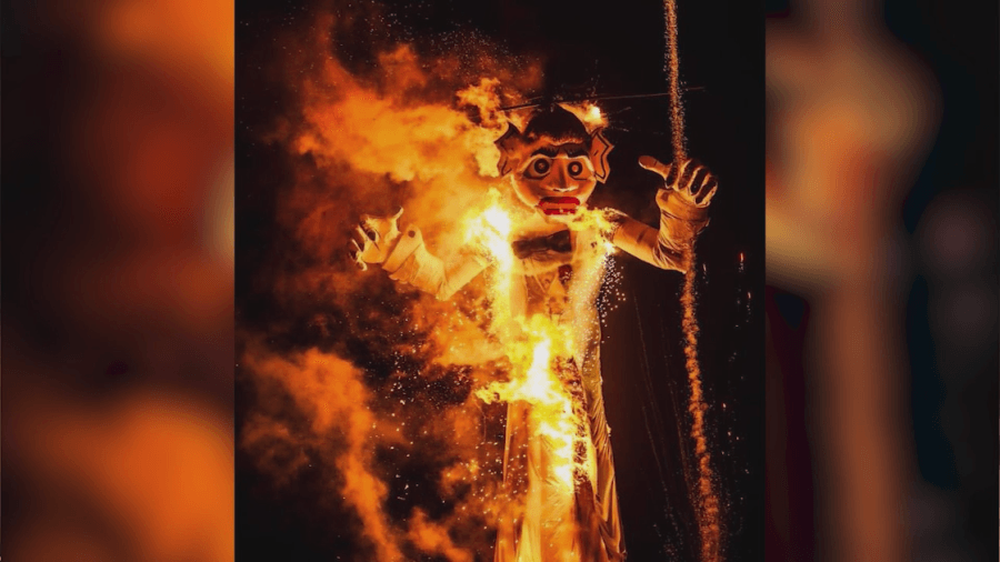 ‘Unfortunately, it's the trees or Zozobra': Battle over Siberian elms puts Zozobra in jeopardy
