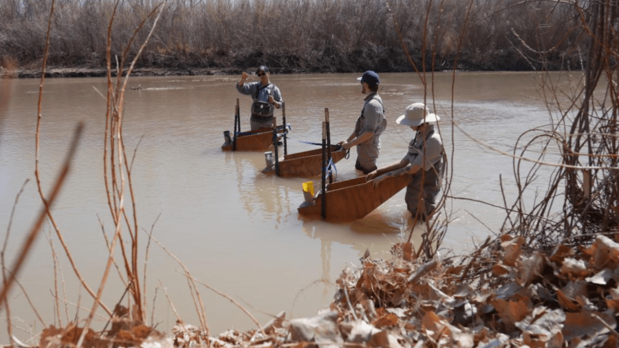 How ABQ BioPark is working to save Rio Grande silvery minnows