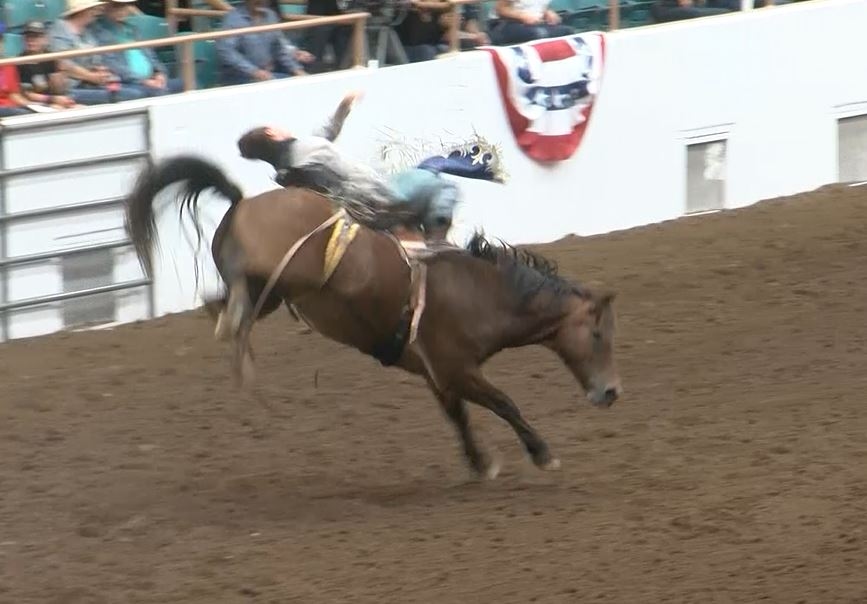 New Mexico State Fair offering discounted rodeo tickets starting July 3