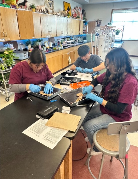 New Mexico high school creates pre-veterinary program to encourage students to join industry