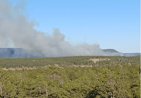 Merrill Fire burning 40 acres in Zuni Mountains