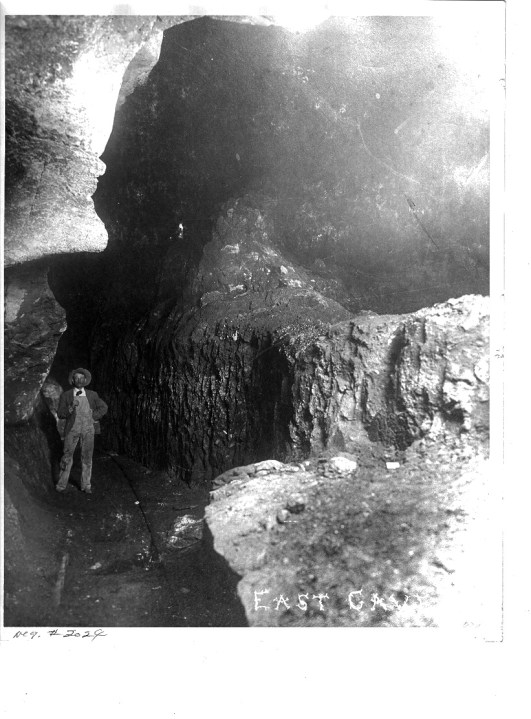 What is guano and why was it a hot commodity in Carlsbad?
