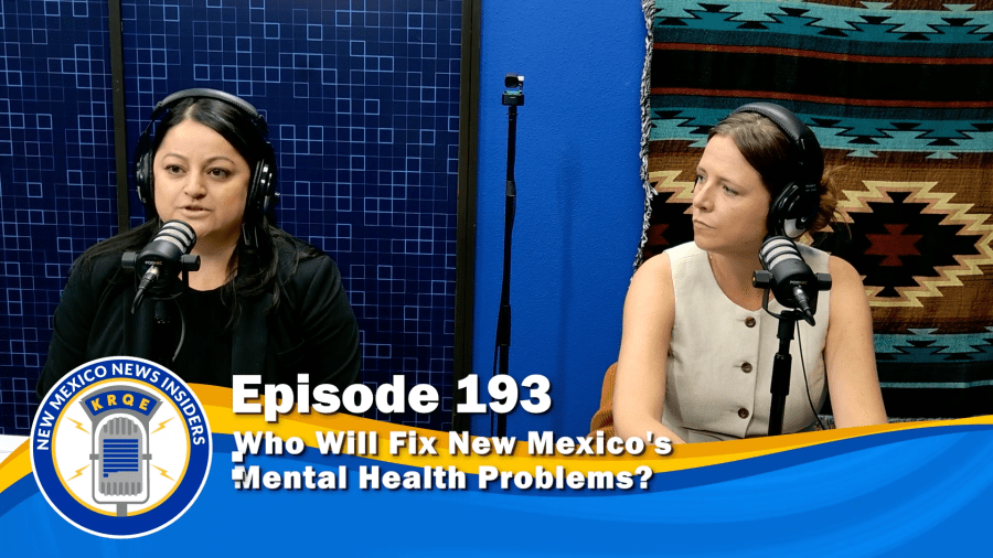 Who Will Fix New Mexico's Mental Health Problems?