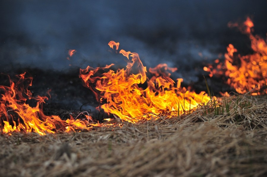 Trout and Meadow Fires burn over 2 dozen acres north of Silver City