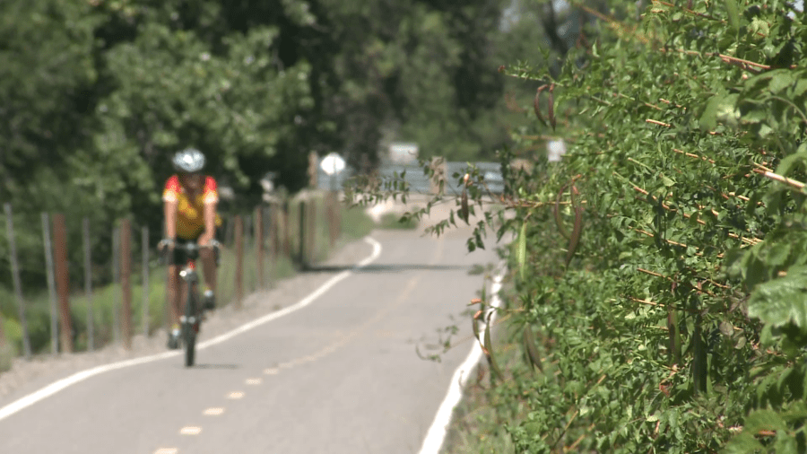 New law giving bicyclists more freedom through intersections begins soon in New Mexico