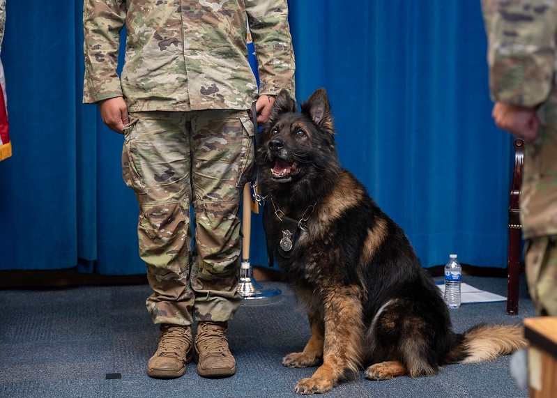 Military working dog is officially retired from Kirtland Air Force Base
