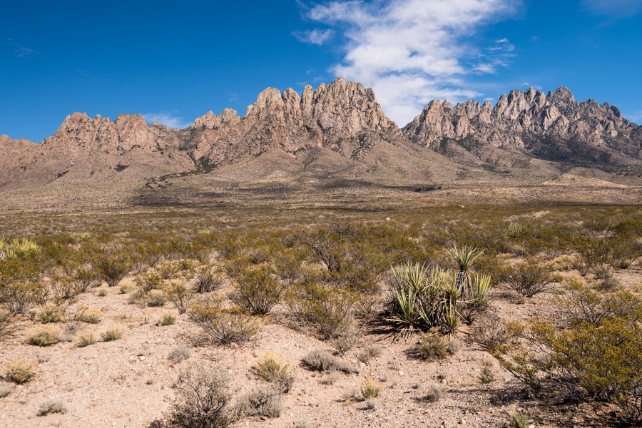 U.S. Senate GOP bill could make millions of acres of public land in New Mexico ‘eligible' for sale