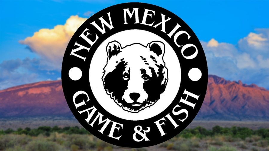 ‘Aggressive' bear reported near Jordan Hot Springs in New Mexico