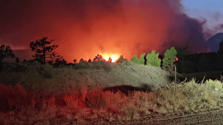 Paradise Fire burns 40 acres on the Gila National Forest