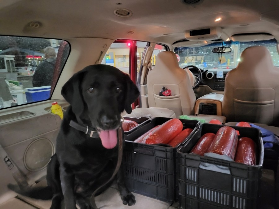 Albuquerque man caught trying to smuggle 242 lbs of bologna into the country
