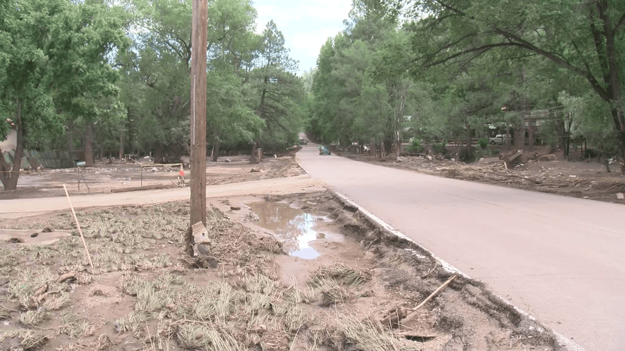 Curbside debris pickup available in Lincoln County