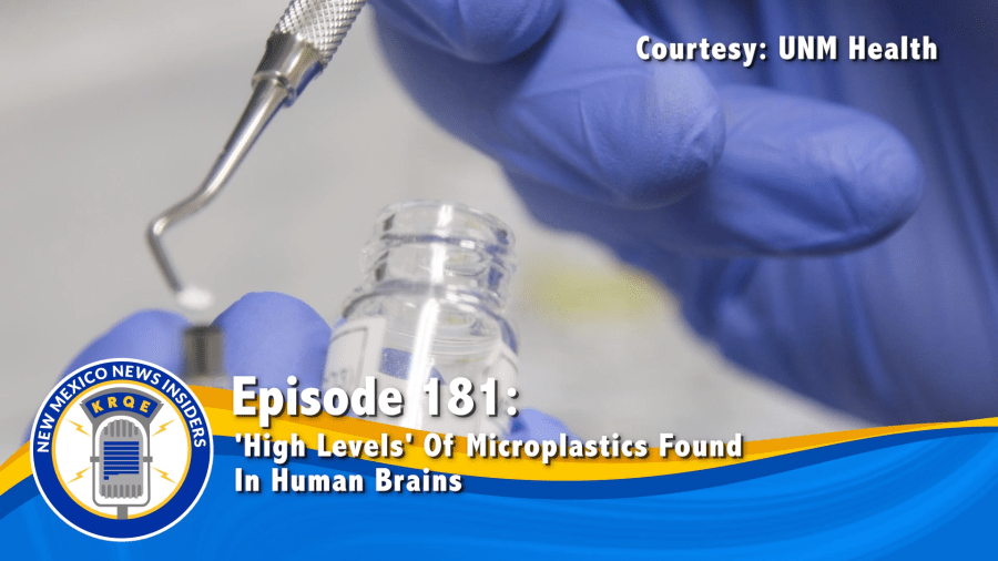 ‘High Levels' Of Microplastics Found In Human Brains