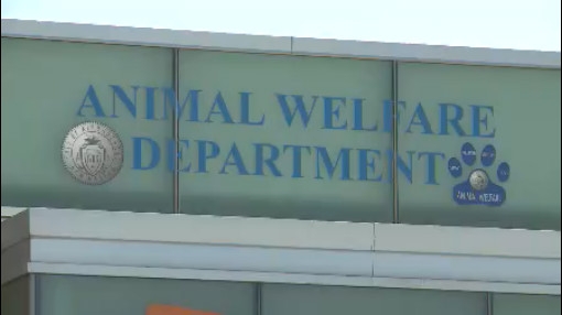 Animal Welfare Department expands days of service at westside shelter
