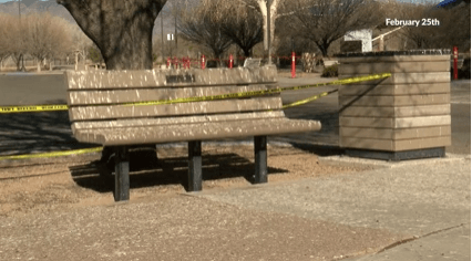Veterans Memorial reopens following bird ‘invasion'