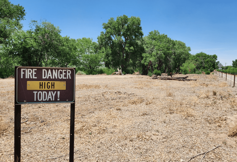 Albuquerque residents warned of high fire danger in the Bosque over Memorial Day Weekend