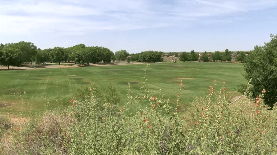 Albuquerque Police prep for ‘No Kings Day' protest on Saturday, June 14