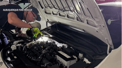 AFR rescue cat trapped in car