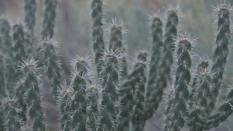 Latest investments in New Mexico's outdoor recreation
