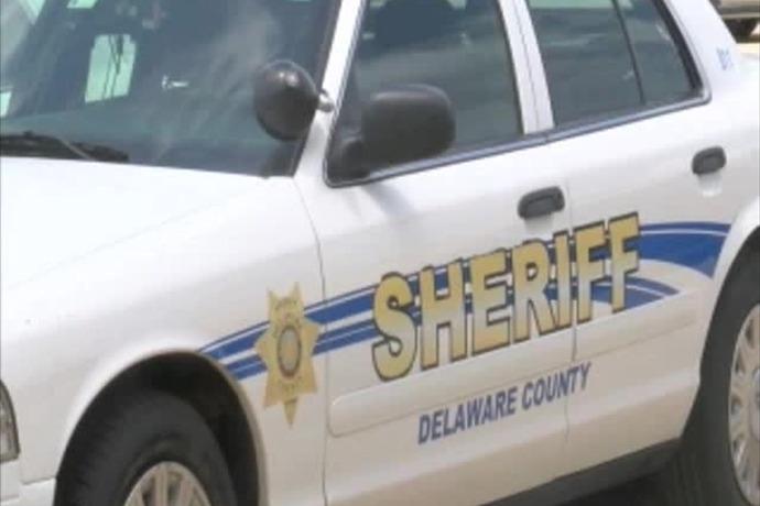 'These dogs are trained to kill, or they have learned how to kill,' Pack of feral dogs terrorizing Delaware County