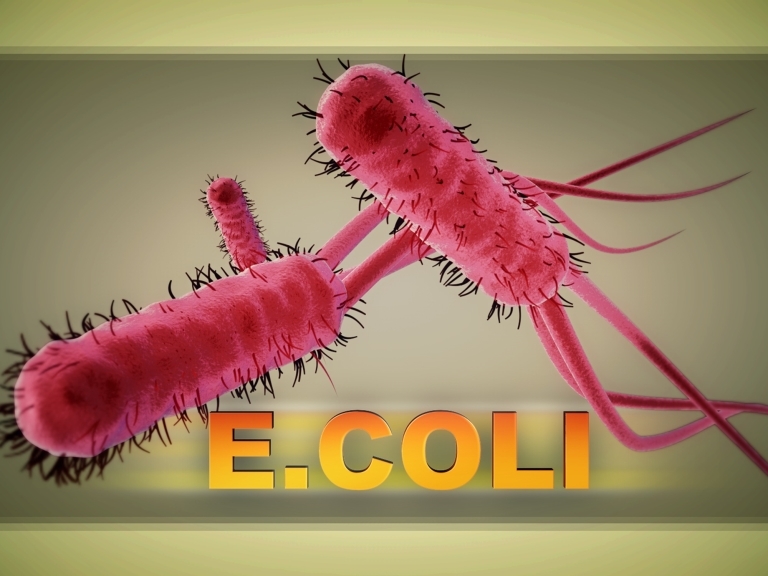 E. coli warning for Grand Lake and other GRDA waters