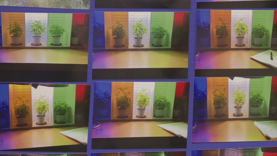Student scientists showcase projects at Missouri Southern science fair