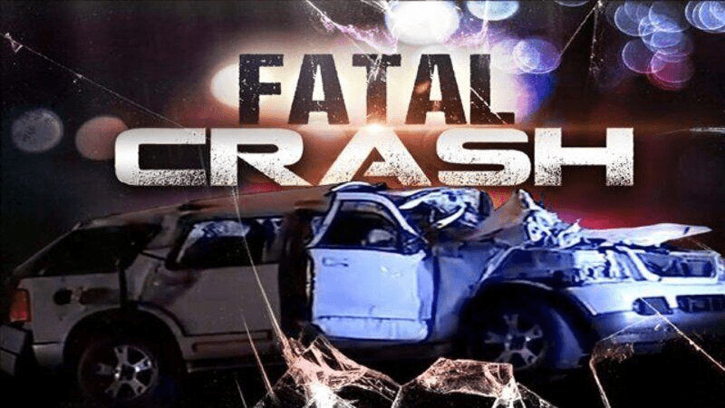 Wyandotte Woman killed in car crash