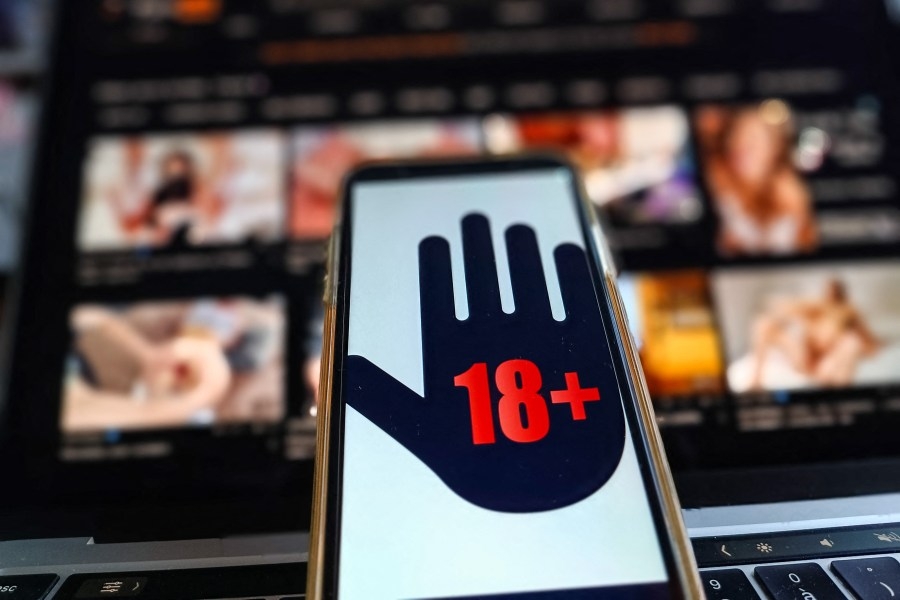 Non-profit sues porn sites for alleged Kansas law violation