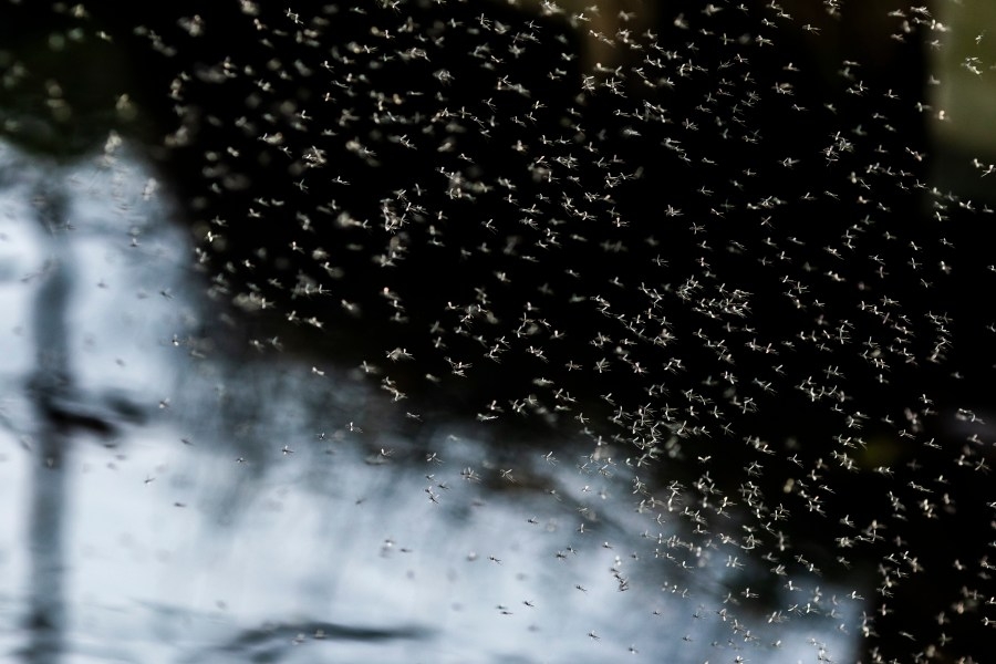Insects active, plants blooming, animals birthing in Kansas