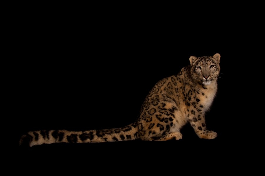 National Geographic photographer event coming to Topeka