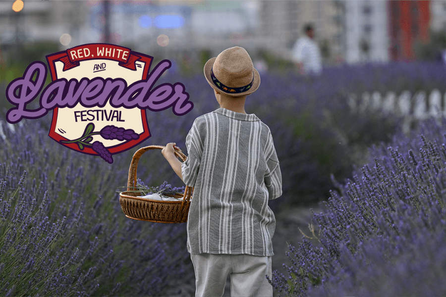 Woman behind first-ever Topeka lavender festival hopes to start annual event