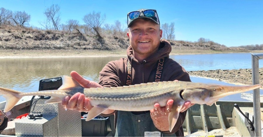What are the rarest fish you can catch in Kansas and where can you find them?