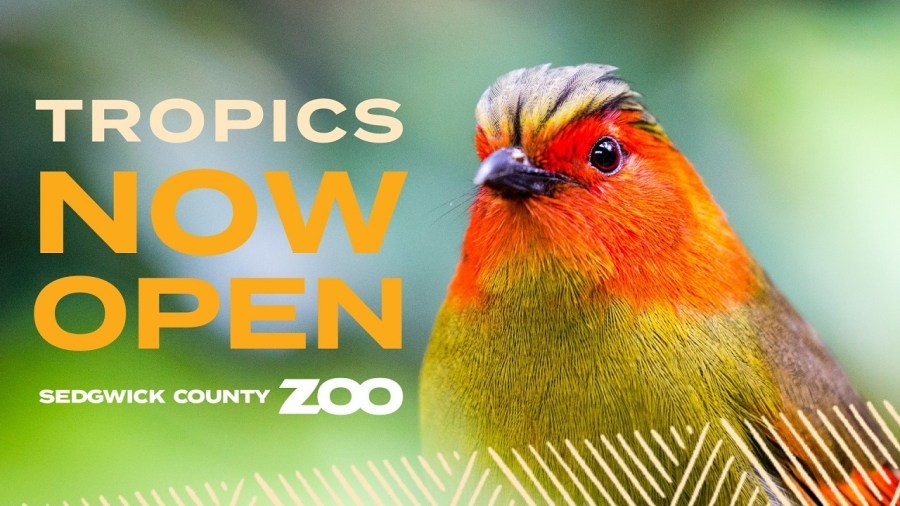 Why Sedgwick County Zoo has reopened Tropics exhibit