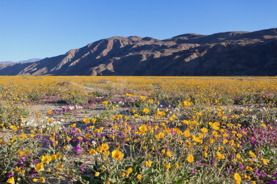 These places in San Diego County were named among the ‘best' in California
