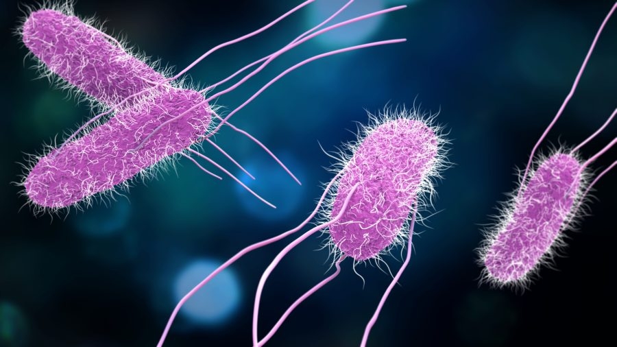 Five hospitalized due to salmonella outbreak at local restaurant