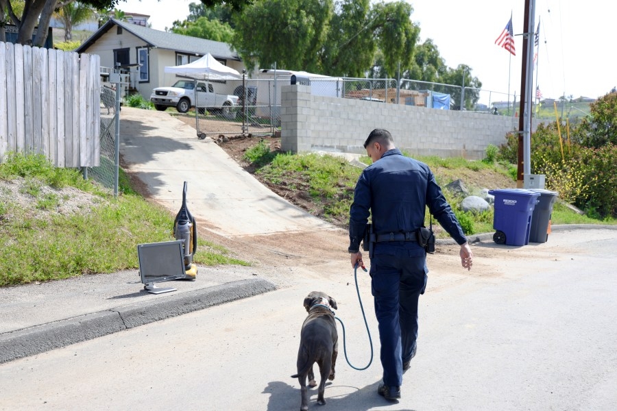 San Diego Humane Society says city's proposed funding cuts are ‘devastating'
