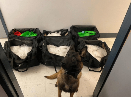 DOJ: 22 charged for role in drug trafficking organization linked to Beltran Leyva Cartel