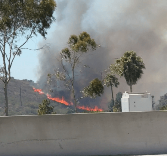 Evacuation warning lifted after brush fire burns near homes in Rancho Bernardo