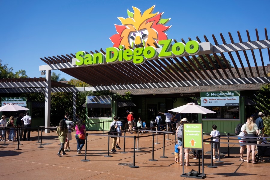 San Diego Zoo Wildlife Alliance CEO steps down