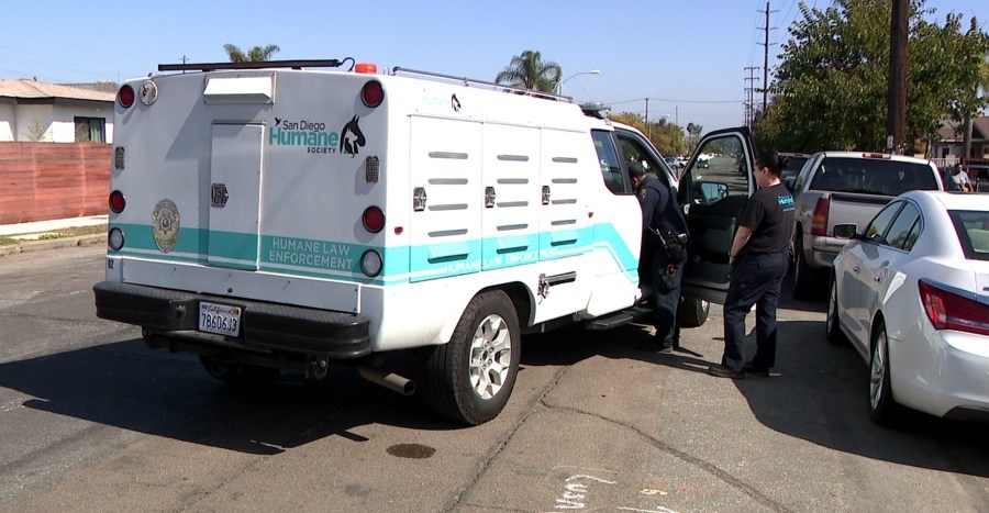 Woman bit by own dog in Grant Hill