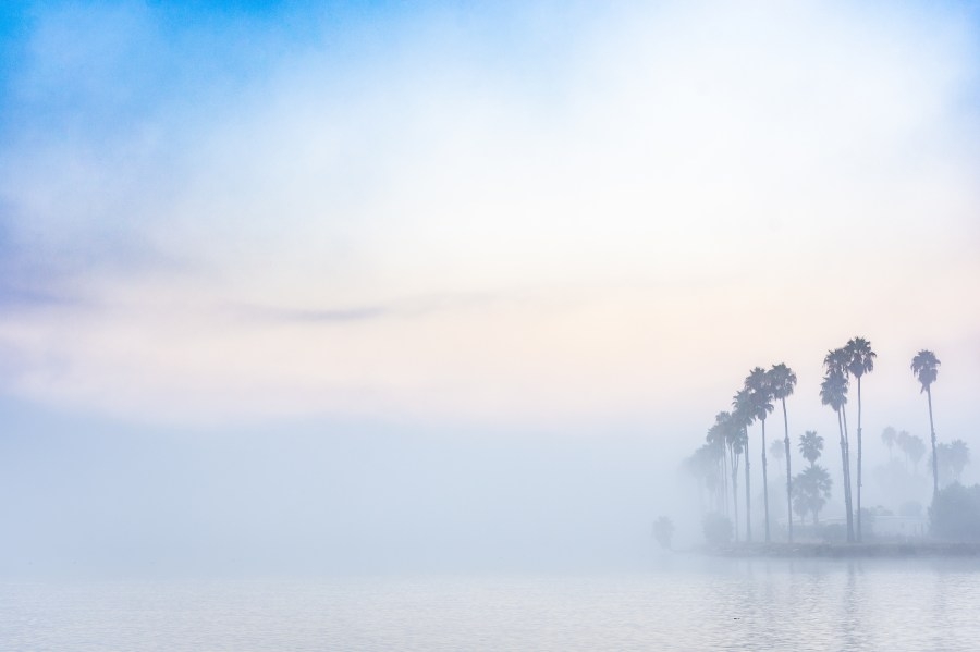 San Diego International Airport sees delays, cancellations amid dense fog